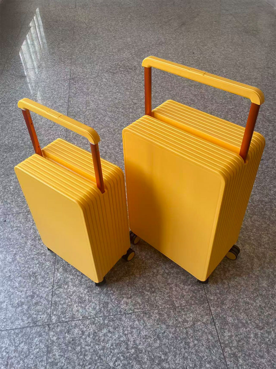 20-Inch Wide-Handle Carry-On Luggage with Silent Wheels